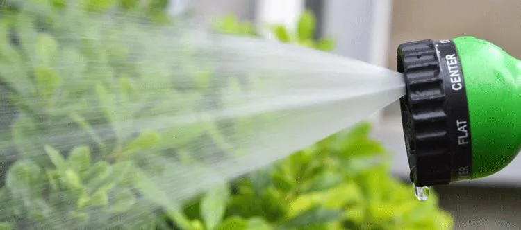 All New Expandable Magic Hose w/ Spray gun(30m/100ft)
