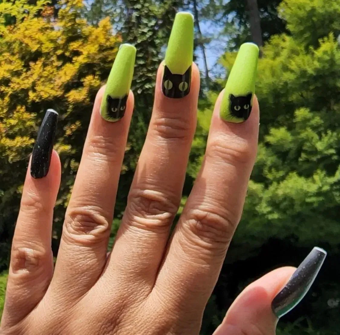 Check Meowt (Glow In The Dark)