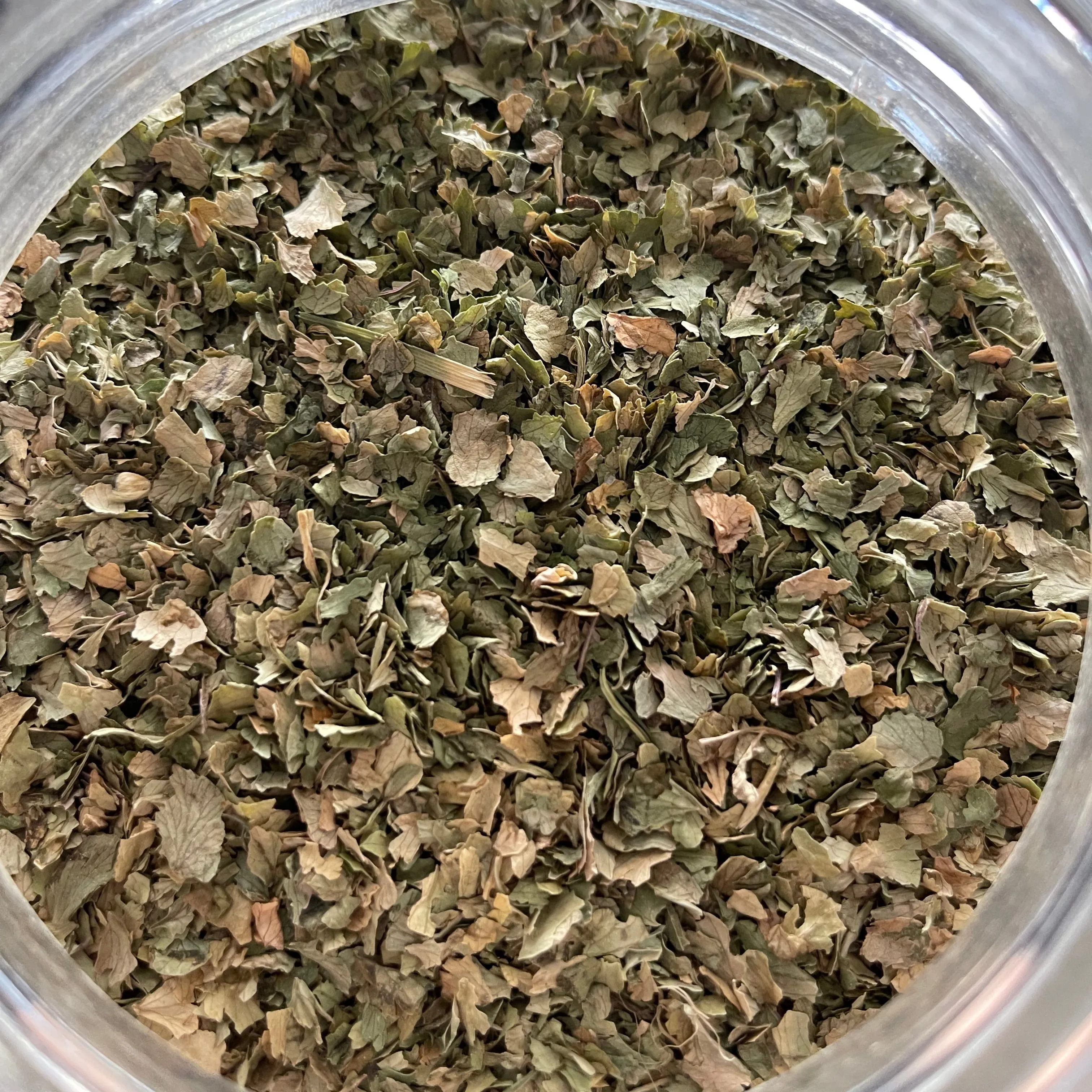 Cilantro Leaf