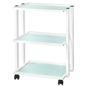 Giovanni Cosmetic Trolley Type 1041