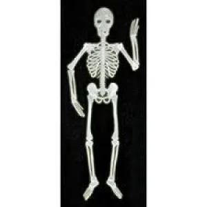 Glow in the Dark Skeleton