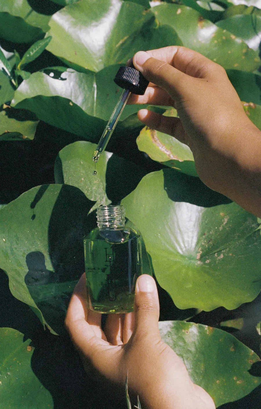 Hinu | Hair Growth Oil 30ml