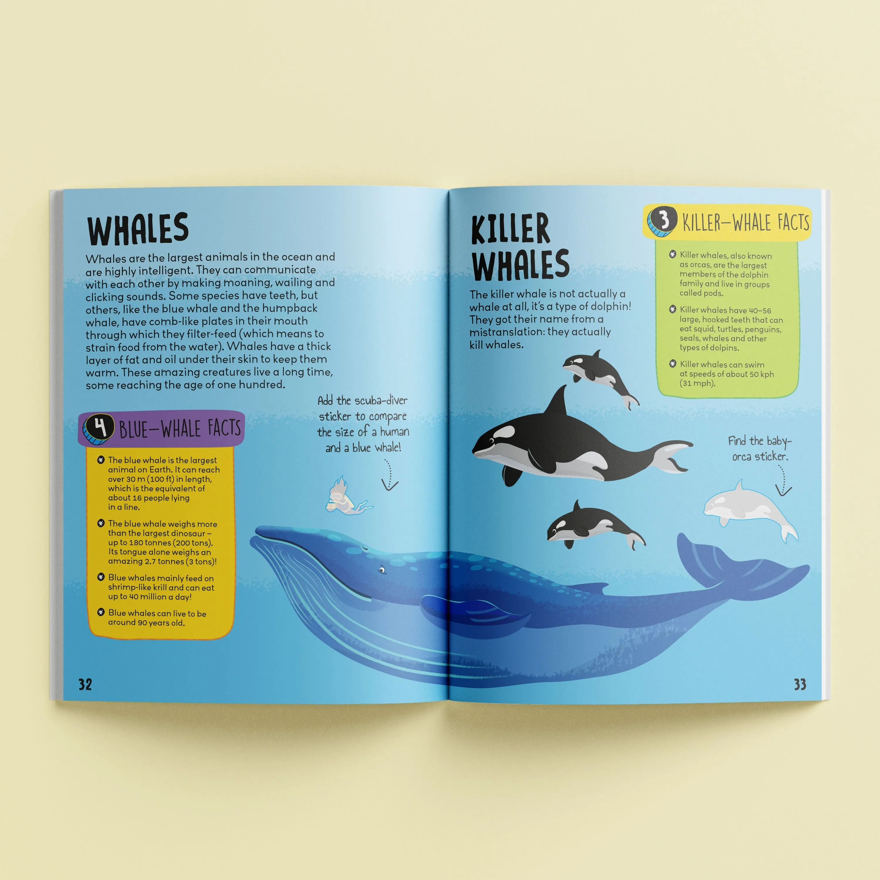 Know and Glow Ocean Sticker Activities