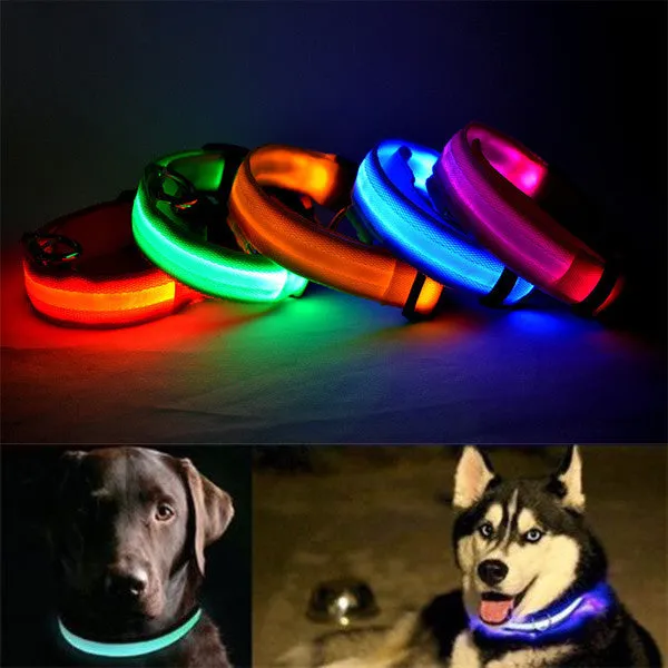 Led Light Dog Collar