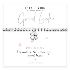 Life Charms Wish You Good Luck