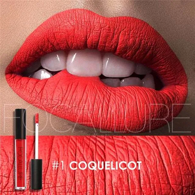 Lipgloss 25 color Waterproof Matte