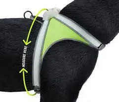 NOXGEAR LIGHTHOUND HARNESS