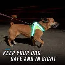 NOXGEAR LIGHTHOUND HARNESS