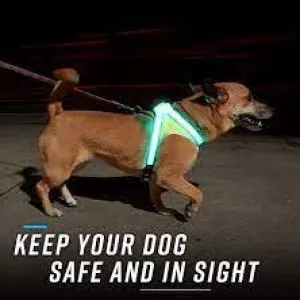 NOXGEAR LIGHTHOUND HARNESS