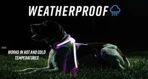 NOXGEAR LIGHTHOUND HARNESS