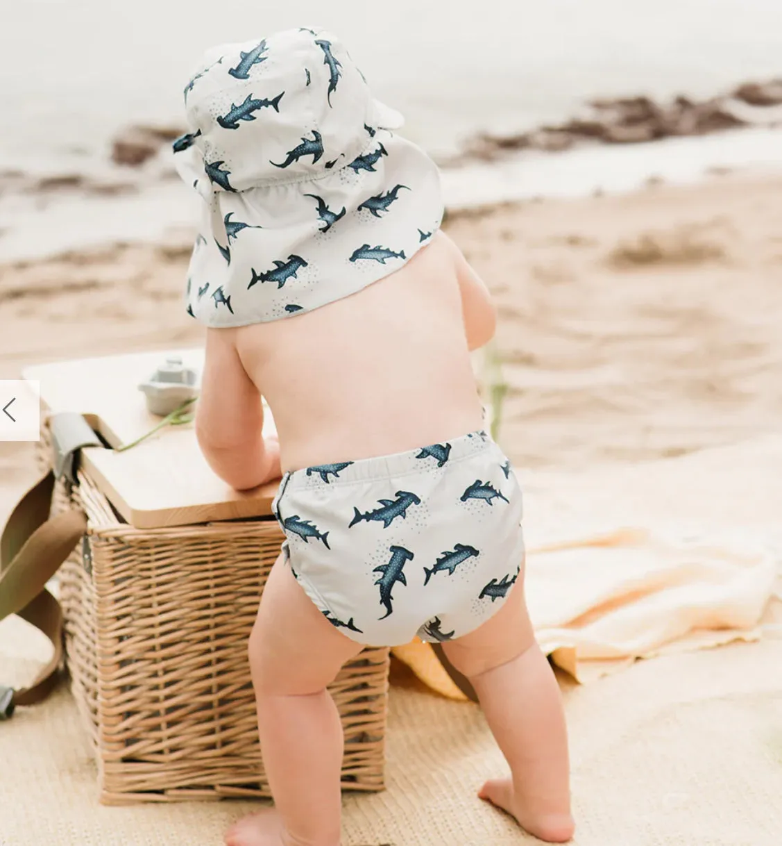 Petit Lem Baby Boys Hammer Head Shark Print Swim Diaper: Size 6/12M to 12/24M