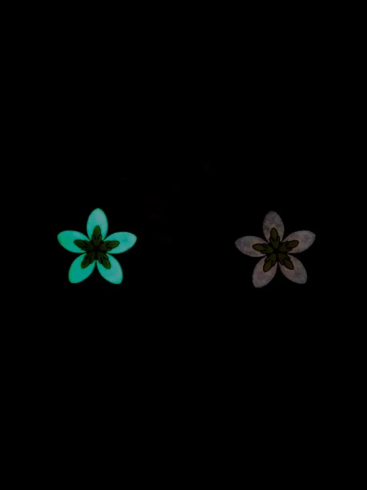 PLUMERIA GITD CAT EYE MORALE PATCH SET