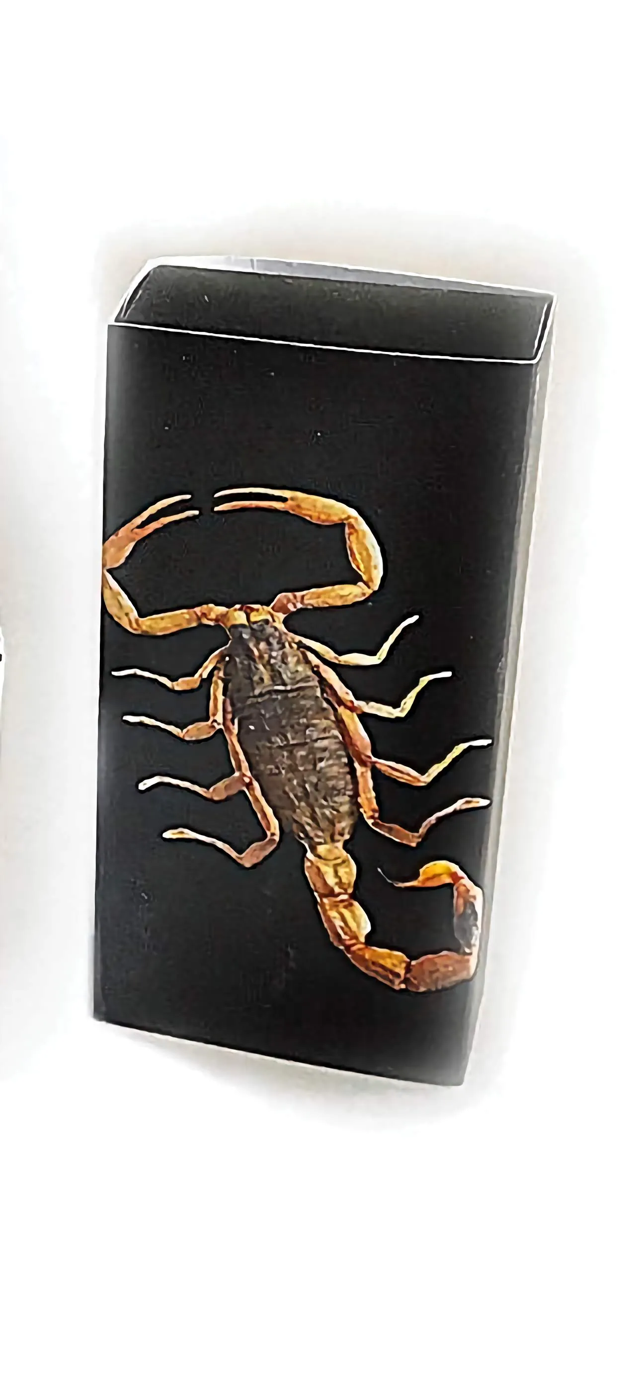 Real Black Scorpion Keychain Glow In The Dark Real Nature Gift