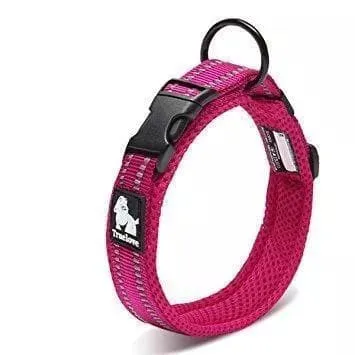 Reflective Dog Collar | 10 Colours | UK Shipped
