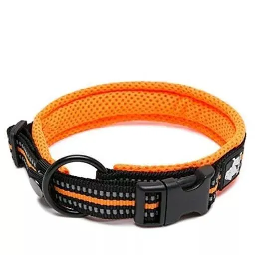 Reflective Dog Collar | 10 Colours | UK Shipped