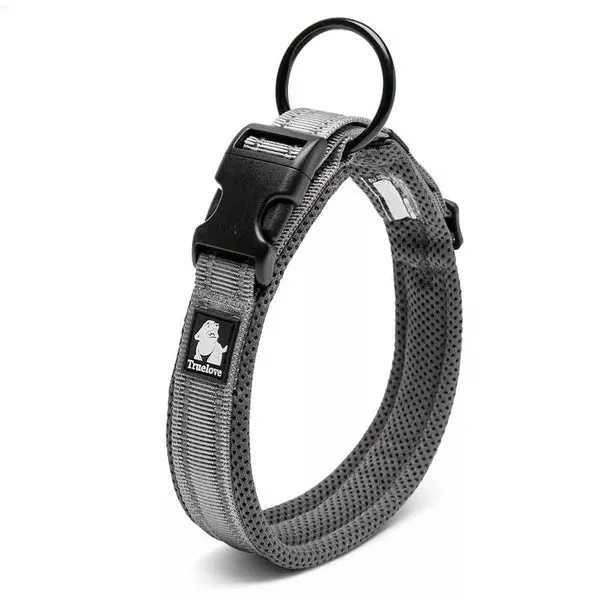 Reflective Dog Collar | 10 Colours | UK Shipped