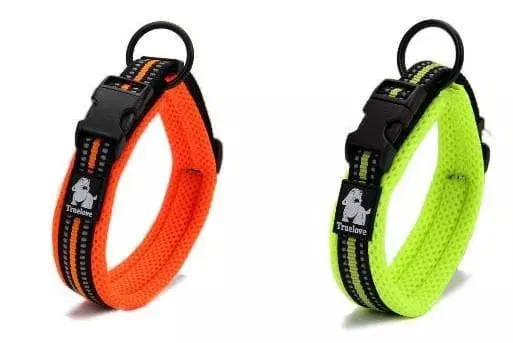 Reflective Dog Collar | 10 Colours | UK Shipped