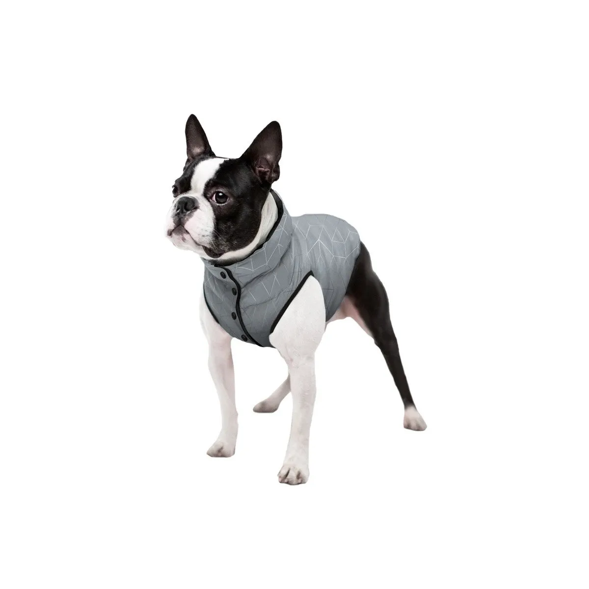 REFLECTIVE Jacket for dogs