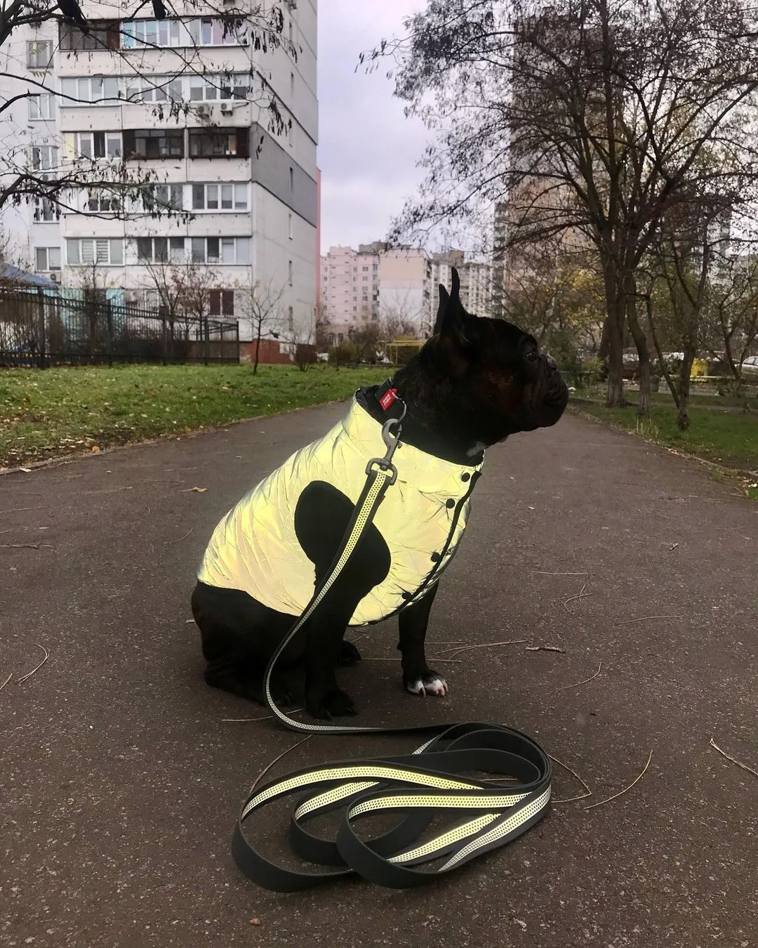 REFLECTIVE Jacket for dogs