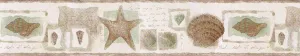 Reflective Sea Shells SA75779W Wallpaper Border