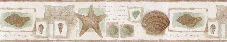 Reflective Sea Shells SA75779W Wallpaper Border