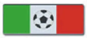 Soccer Ball Non-Reflective Car Insignia Badge