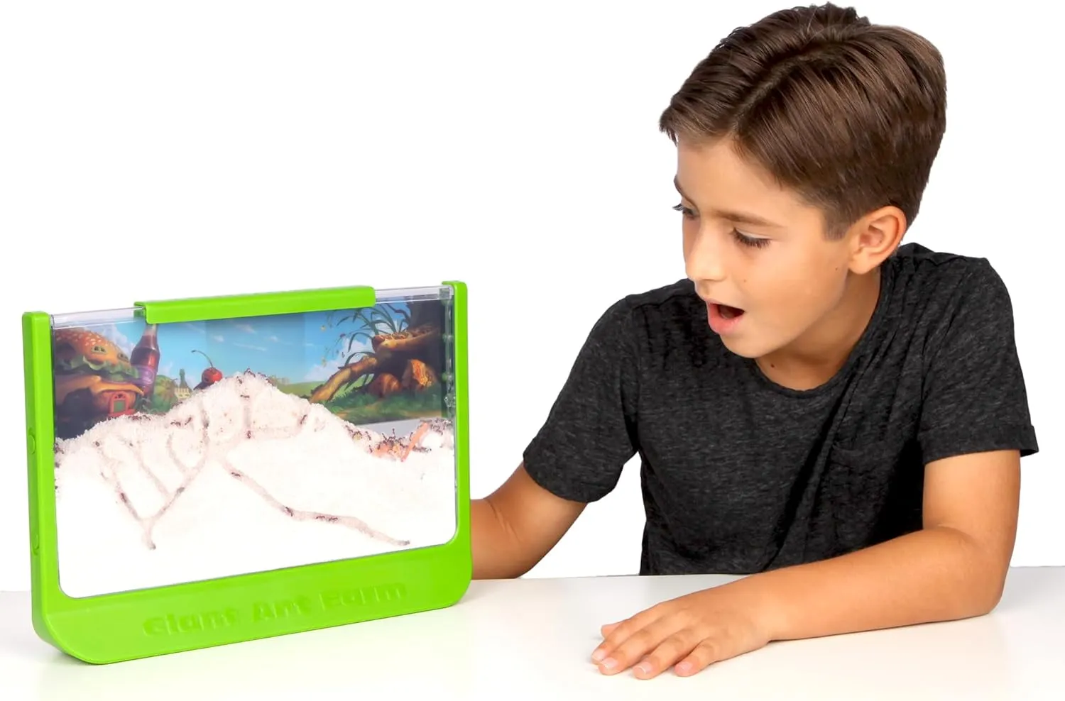 Uncle Milton Giant Ant Farm - Large Viewing Area - Care for Live Ants - Natur...
