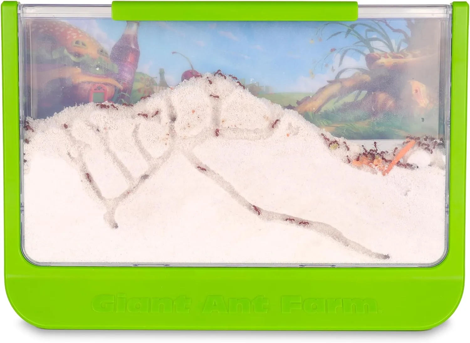 Uncle Milton Giant Ant Farm - Large Viewing Area - Care for Live Ants - Natur...