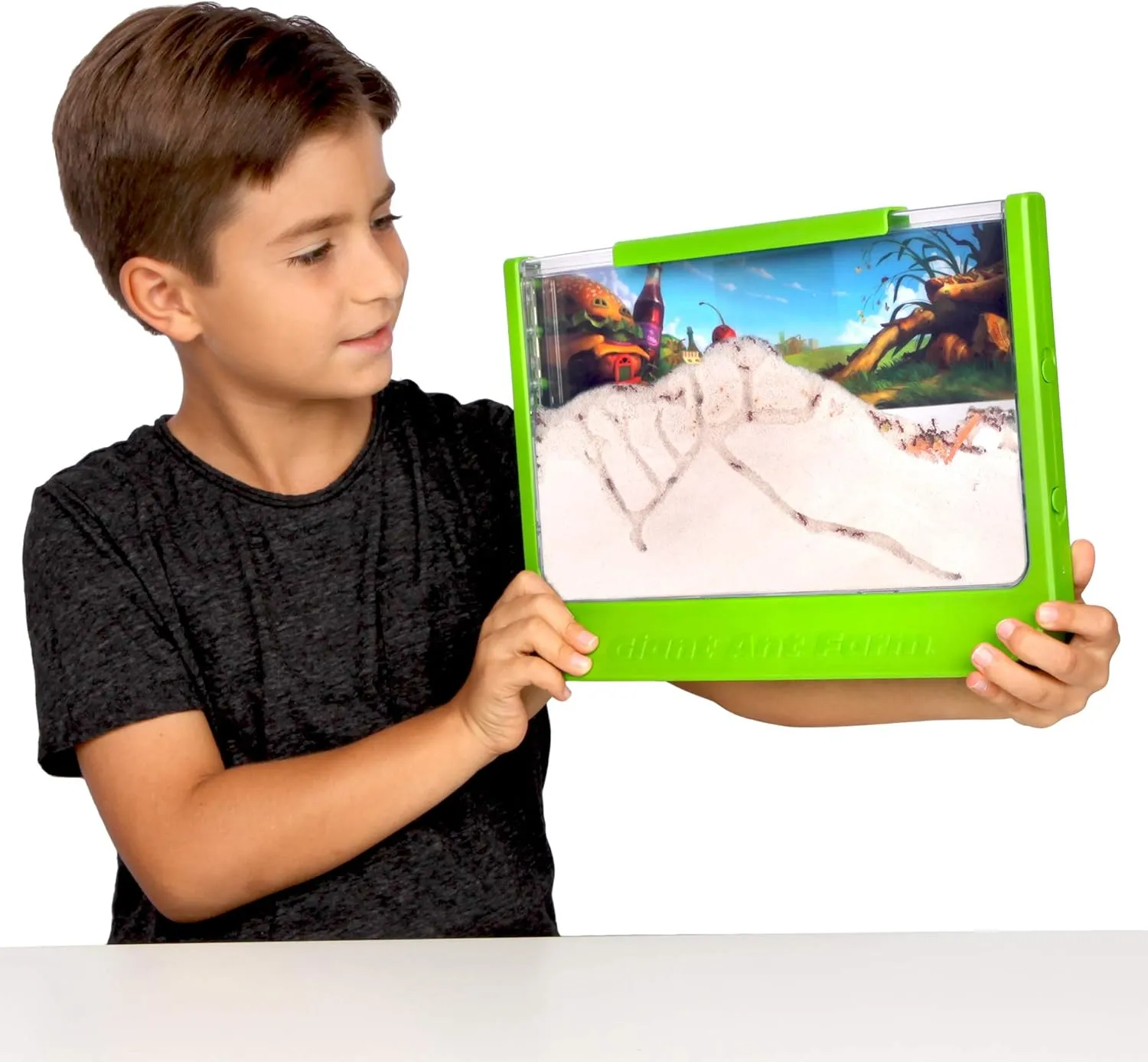 Uncle Milton Giant Ant Farm - Large Viewing Area - Care for Live Ants - Natur...