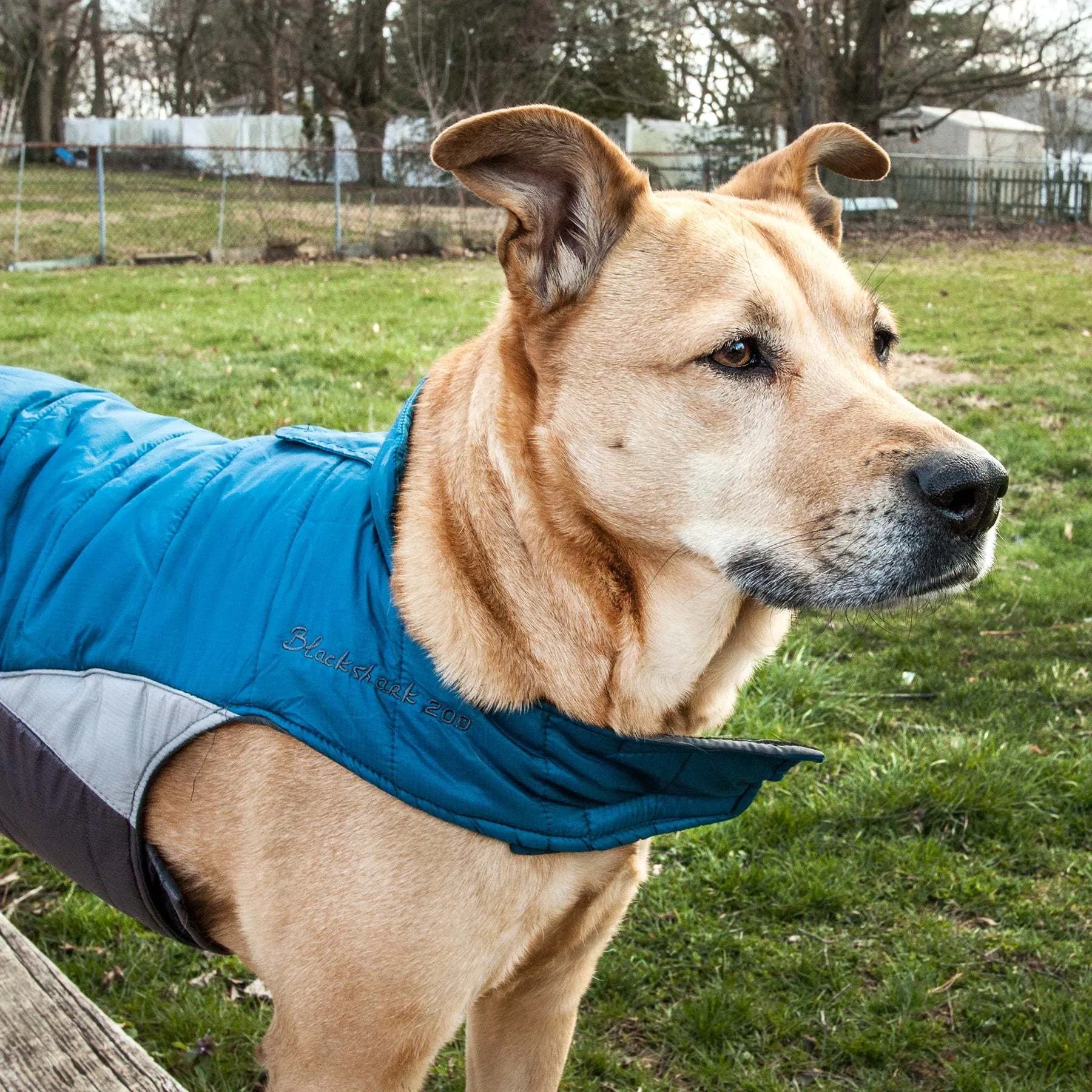 Waterproof Reflective Dog Coat
