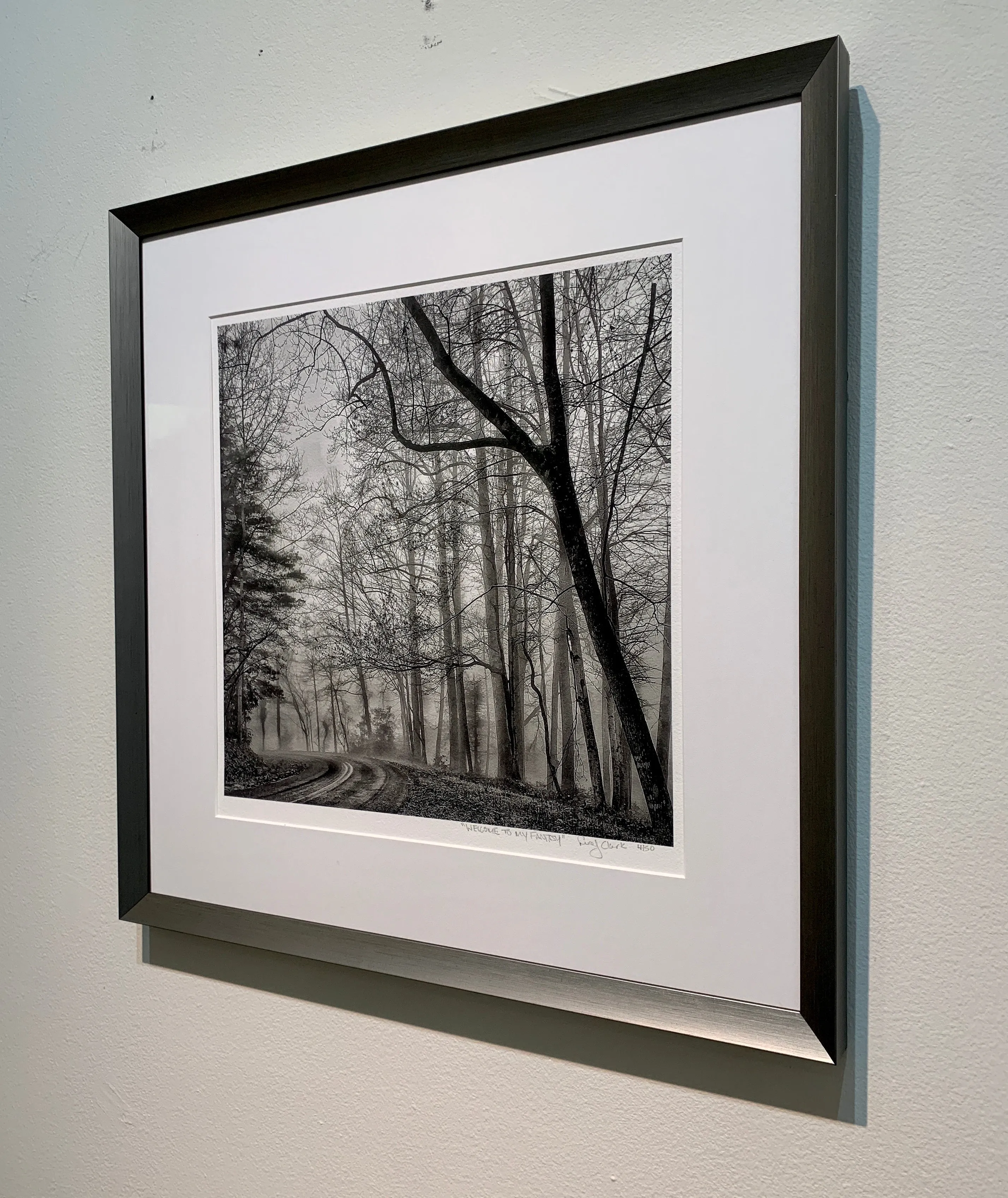 Welcome to my Fantasy Framed Photography