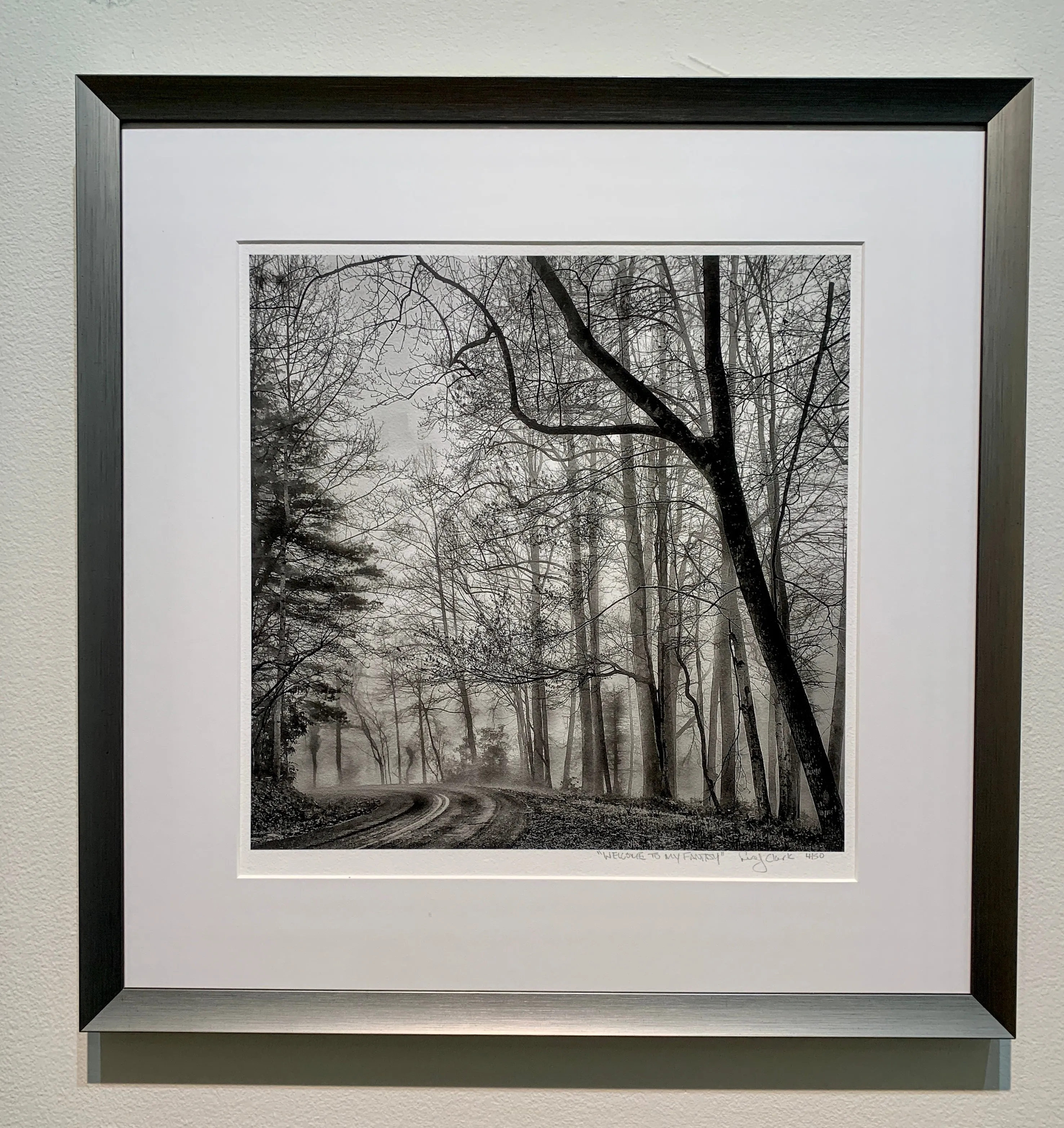 Welcome to my Fantasy Framed Photography
