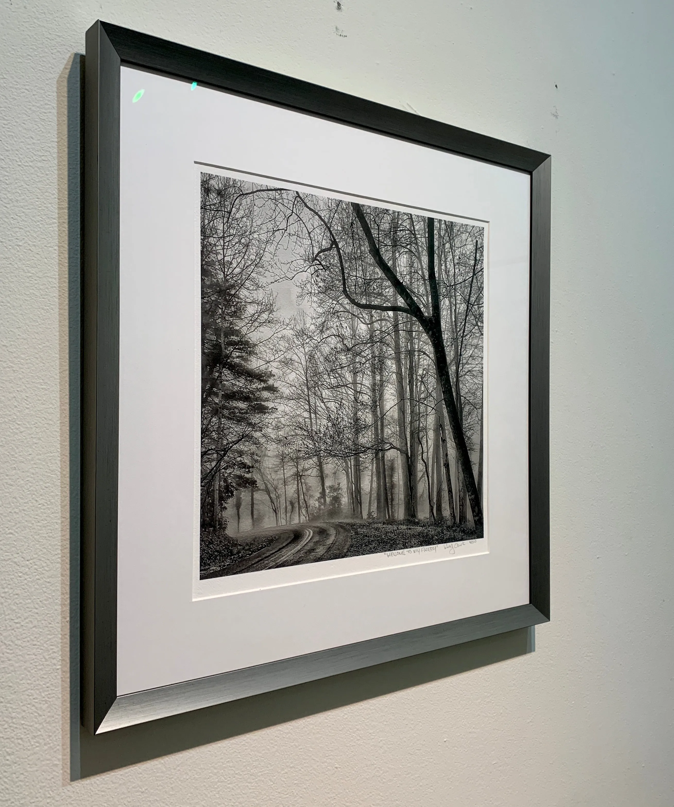 Welcome to my Fantasy Framed Photography