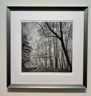 Welcome to my Fantasy Framed Photography