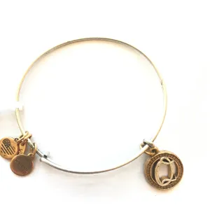 Women's Alex And Ani | Initial Q II Two Tone Bangle Bracelet | Silver